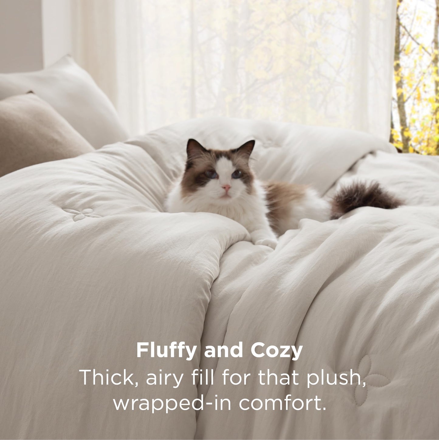 Bedsure Queen Comforter Set Beige, Soft Prewashed Queen Size Bedding, Quilted Comforter with Clover Design, Down Alternative Comforter for All Seasons, 3 Pieces Bed Set with 2 Pillow Shams