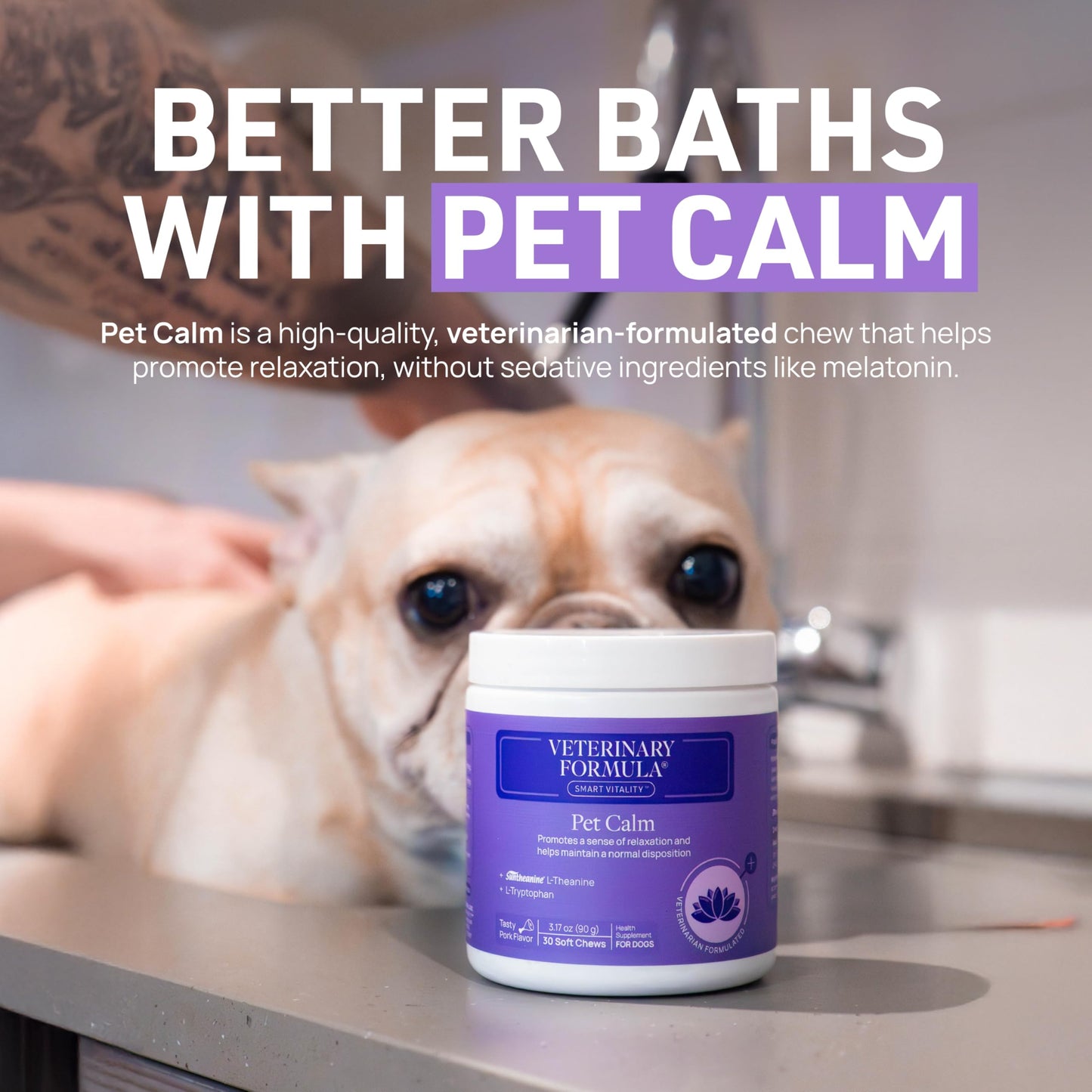 Veterinary Formula Clinical Care Antiparasitic & Antiseborrheic Medicated Dog Shampoo, 16 oz – Paraben, Dye, Soap Free – Hydrating and Antifungal Shampoo for Dogs, White