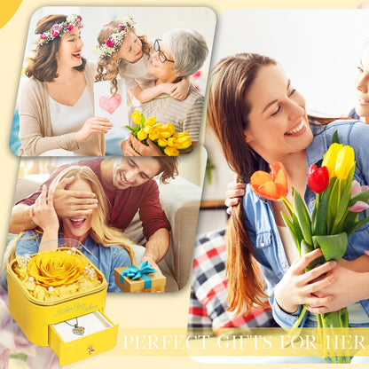 Beferr Valentines Day Gifts for Her Preserved Real Rose with Necklace Eternal Roses Forever Flowers for Delivery Prime Mothers Anniversary Birthday Gifts for Women Mom Grandma Wife Daughter Girlfriend