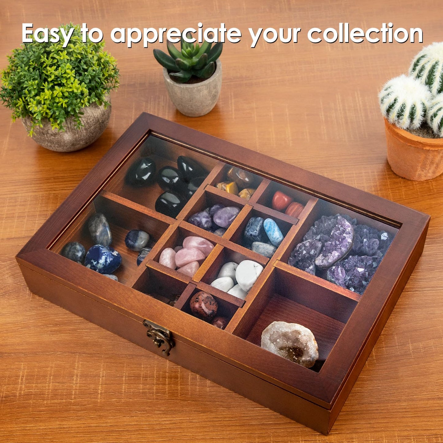 Crescent Moon Tray Crystal Holder Set, Adjustable Rock Display Case, Rock Collection Box with Shelves, Wood Crystal Organizer for Stones Storage,Gem Holder with Lid for Seashell