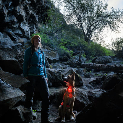 RUFFWEAR The Beacon Dog Safety Light, Waterproof Dog Collar Light, LED Pet Dog Collar Buckle Night Light, Safety Clip On Flashing Dog Light for Dog Leads & Harnesses, Rechargeable Dog Light, Clear