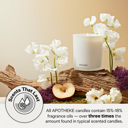 Apotheke 3-Wick Scented Candles for Home, Earl Grey Bitters - 26 oz Soy Wax Aromatherapy Jar Candle Gift for Women - Long-Lasting Fragrance with Perfume-Grade Essential Oils - Bergamot, Peony & Lemon