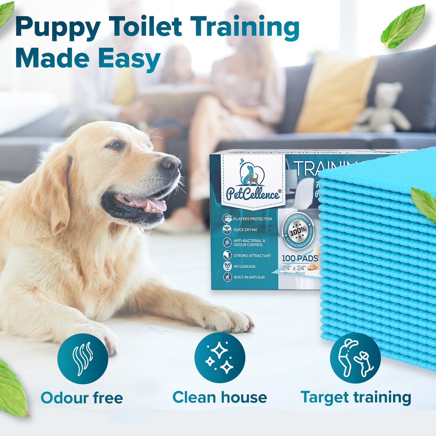 PetCellence Puppy Pads 100 Pack, Super Absorbent Pet Dog Training Pads Large 60 x 60cm with Anti-Slip Adhesive Tabs, Eliminate Odour, Leak-Proof Floor Protection Toilet Pee Mat
