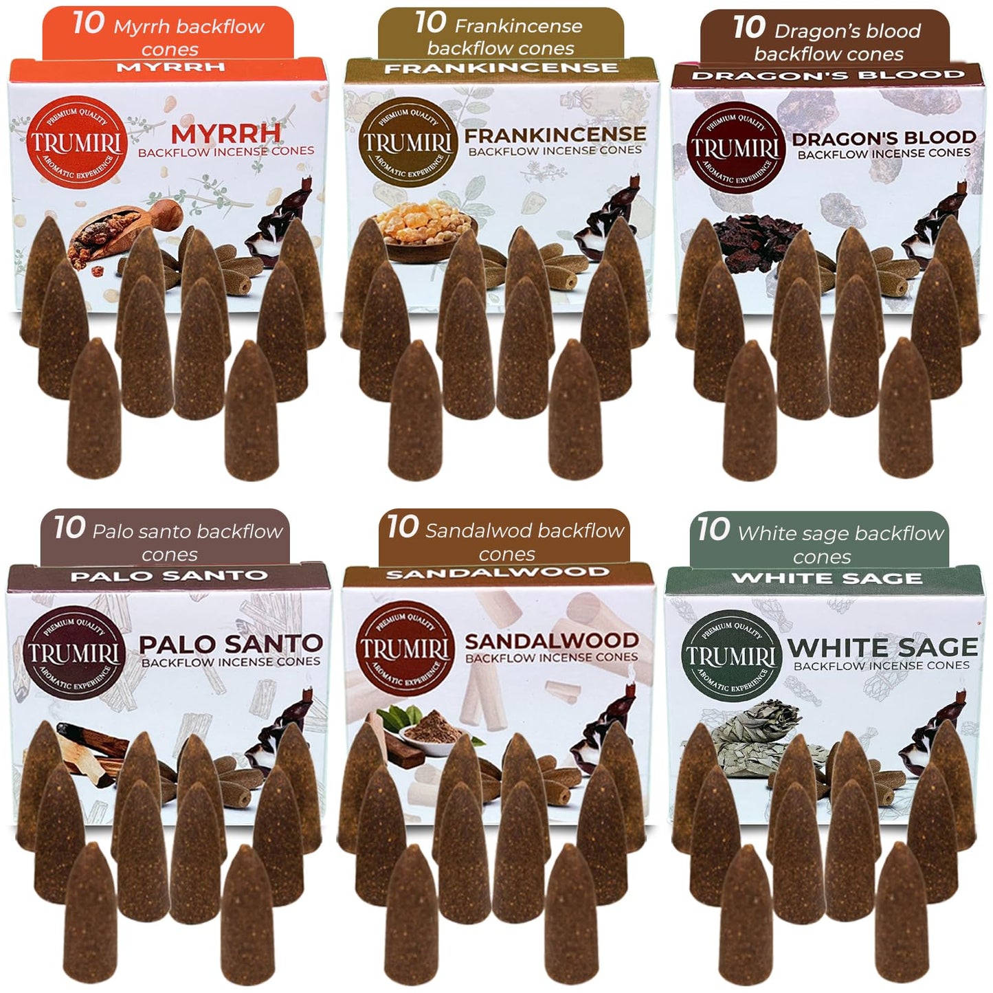 Woody - Backflow Incense Cones for Waterfall - Scented Inscents-Cones - Sandalwood, Dragons Blood, Palo Santo, White Sage - Insiensos Aromaticos - 6x10=60 Large Variety Pack - Back Flow Down Reverse
