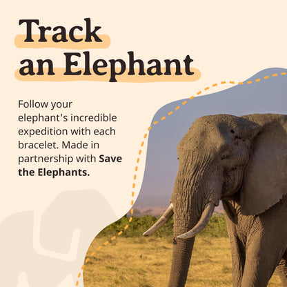Fahlo Elephant Tracking Bracelet – Track a Real Elephant’s Journey – Supports Save the Elephants – Elastic, One Size Fits Most – on Interactive Mobile App Map – Unisex Conservation Gift (Lava Stone)
