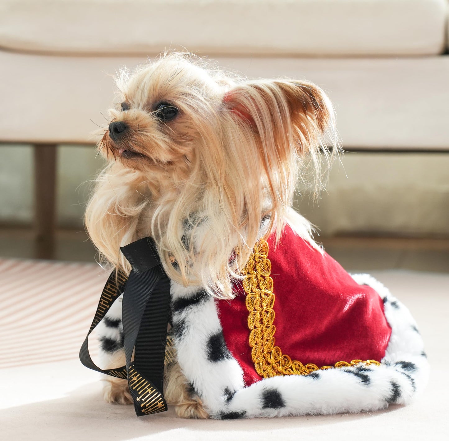 Lovelyshop pet Serial Lux Fur Red Cat Dog Cloak for Halloween Costumes, King Queen Prince and Princess Cosplay- XS