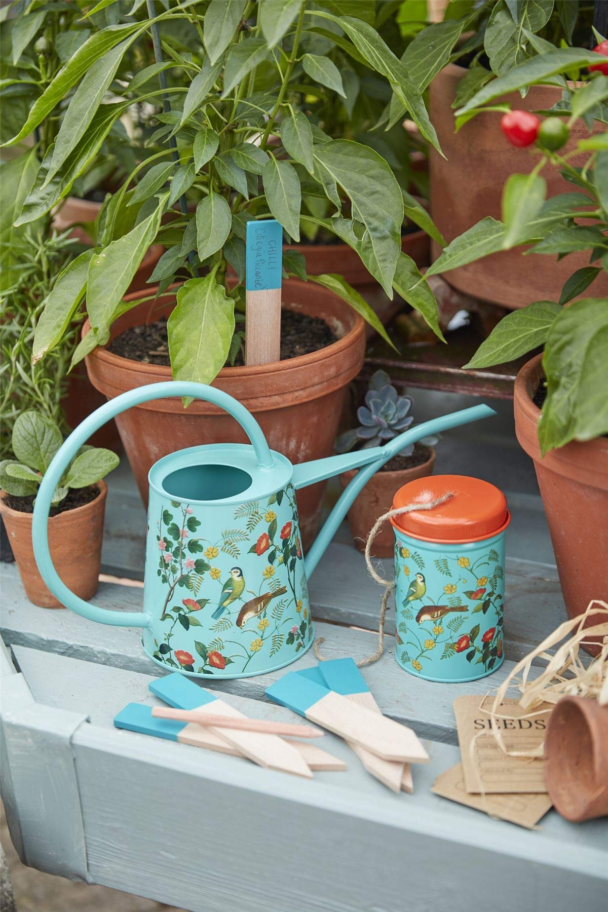 Burgon & Ball Flora and Fauna Indoor Watering Can, 1 Litre Capacity, Green