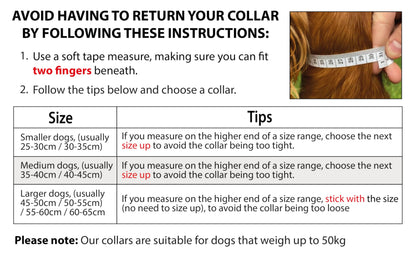 Elite Paws™ UK: Premium Metal Buckle Dog Collar, Strong, Safe, Padded, Comfortable, Reflective, Adjustable, Secure Fit with Metal Lead Attachment, Puppy Walking/Training Product (30cm-35cm, Blue/Grey)
