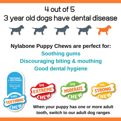 Nylabone Puppy Starter Kit, Pack of 3 Dental Dog Chew Bones, Teething, Gentle, Graduate, Small, for Puppies Up to 11 kg