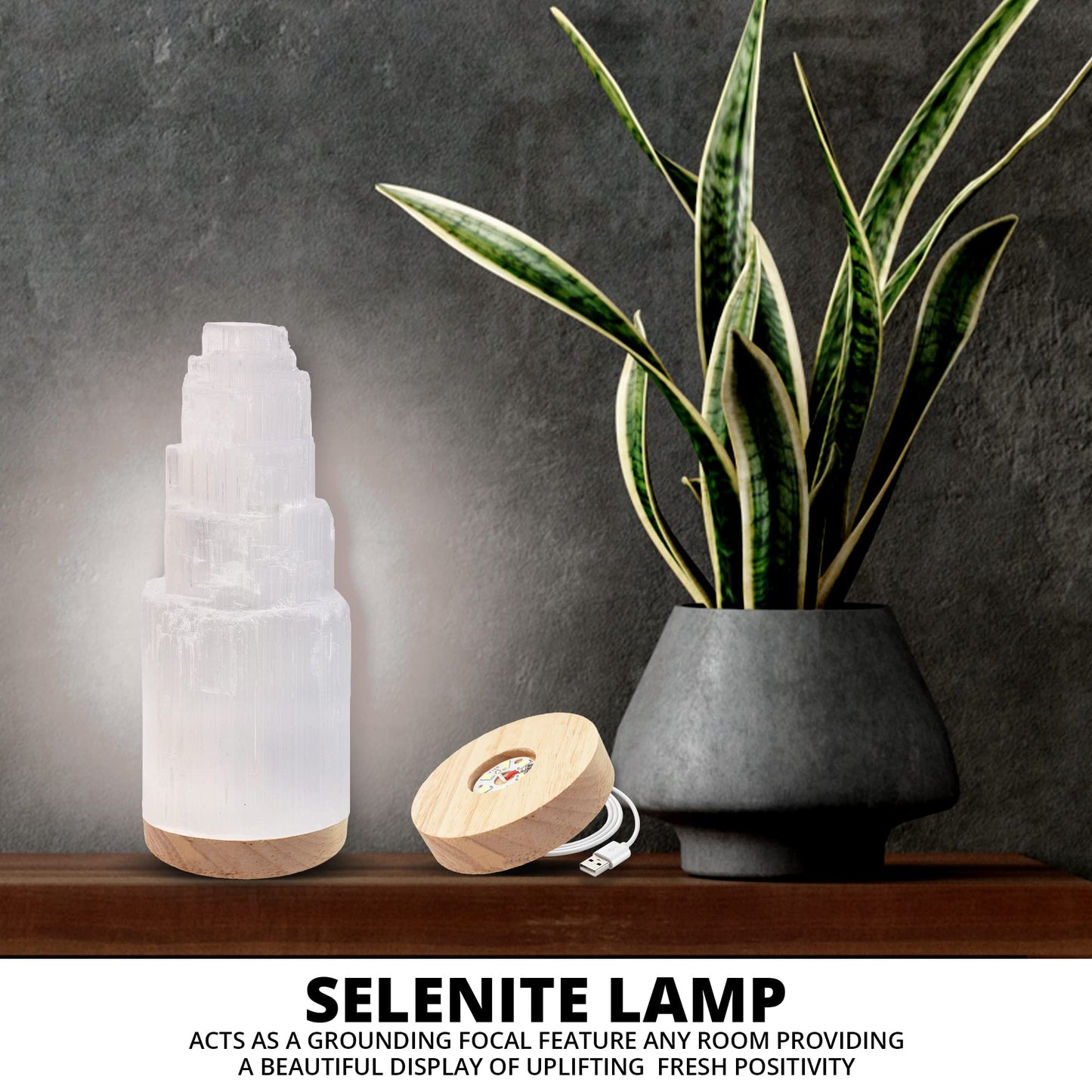 Salt 84 Selenite Crystal Lamp, 20 cm Tall, High Energy Skyscraper Lamp with Wooden Base & USB Charging Cable, ETL Certified, Hand Curved Selenite for Spiritual Protection and Therapy