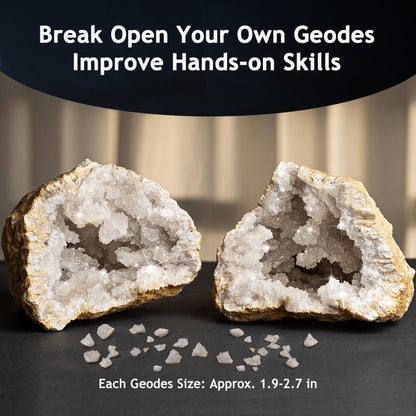 Japace Earth Science Kits for Kids Age 4-6-8-12-14, Birthstone Gemstone Dig Kit, Geology Kit with Break Your Own Geodes, Crystal Growing Experiment, Rock Mining Kit Birthday Gifts Toys for Boys Girls