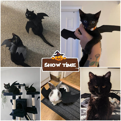 Pet Cat Bat Wings Halloween Dog Bat Costume, Bat Wings for Cat Halloween Costume Puppy Kitten Cosplay Bats Costume Pet Apparel, Cats Wings for Halloween Party Decoration Dress up Accessories