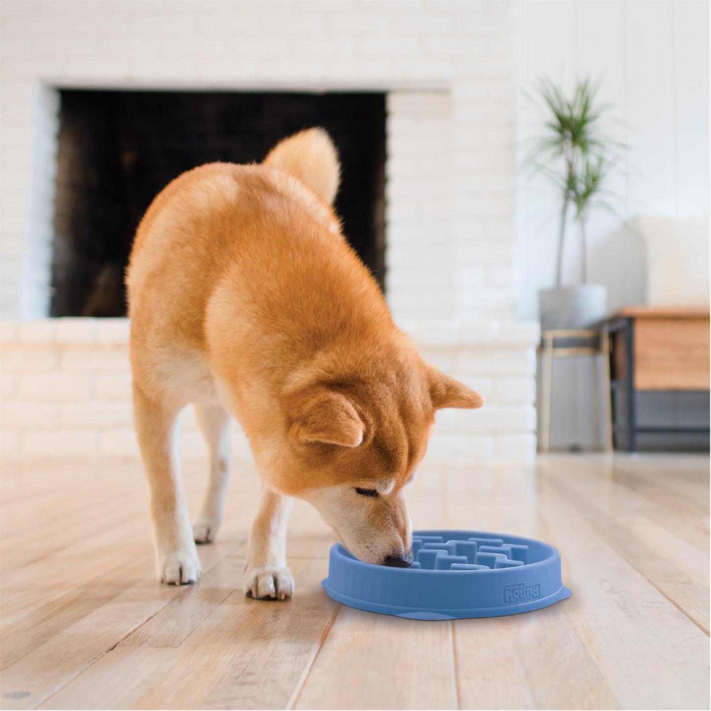 Outward Hound Slow Feeder Dog Bowl - Makes Meal Time Fun, Slows Down Eating, Promotes Healthy Digestion, Prevents Bloat | Slip Resistant and Durable, Food & Water Bowl, Size Medium (Blue)