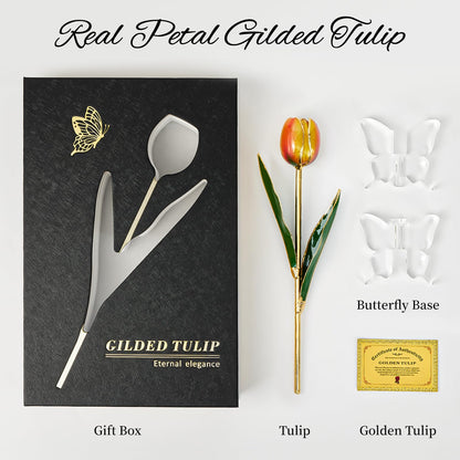 Mikasol 24K Gold Dipped Real Tulip – Amber Glow, Warm Forever Flower with Book-Style Gift Box & Butterfly Stand, Perfect for Her, Wife, Mom, Birthday, Anniversary