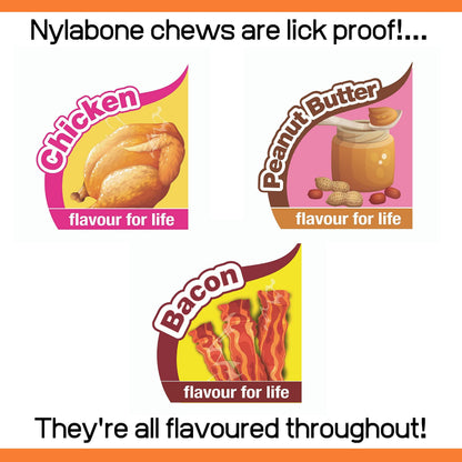 Nylabone Extreme Tough Dog Chew Toy Bones, Peanut Butter, Chicken, Bacon Flavoured, 3-Piece, Small, For Dogs Up To 11 kg