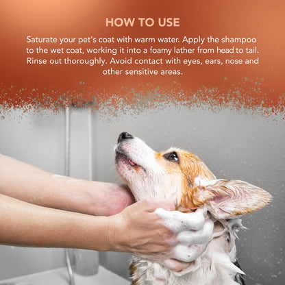 Wahl Dirty Beastie Shampoo, Dog Shampoo, Shampoo for Pets, Natural Pet Friendly Formula, For Dirty Pet Coats, Concentrate 32:1, Remove Dirt and Odours, Smelly Coat, 5 Litre