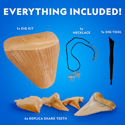 National Geographic Shark Tooth Dig Kit – Excavate Replica Teeth Fossils from Ancient Sharks and Make a Shark-Tooth Necklace, STEM Science Kit for Kids Ages 6-8, Educational Fossil Dig Activity