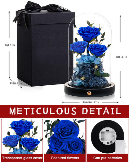Valentines Day Flowers Roses Gifts for Her,Forever Real Preserved Roses in Glass Dome,Valentines Day Anniversary Birthday Gifts for Wife Girlfriend Women Mom Best Friend Her/Purple Rose