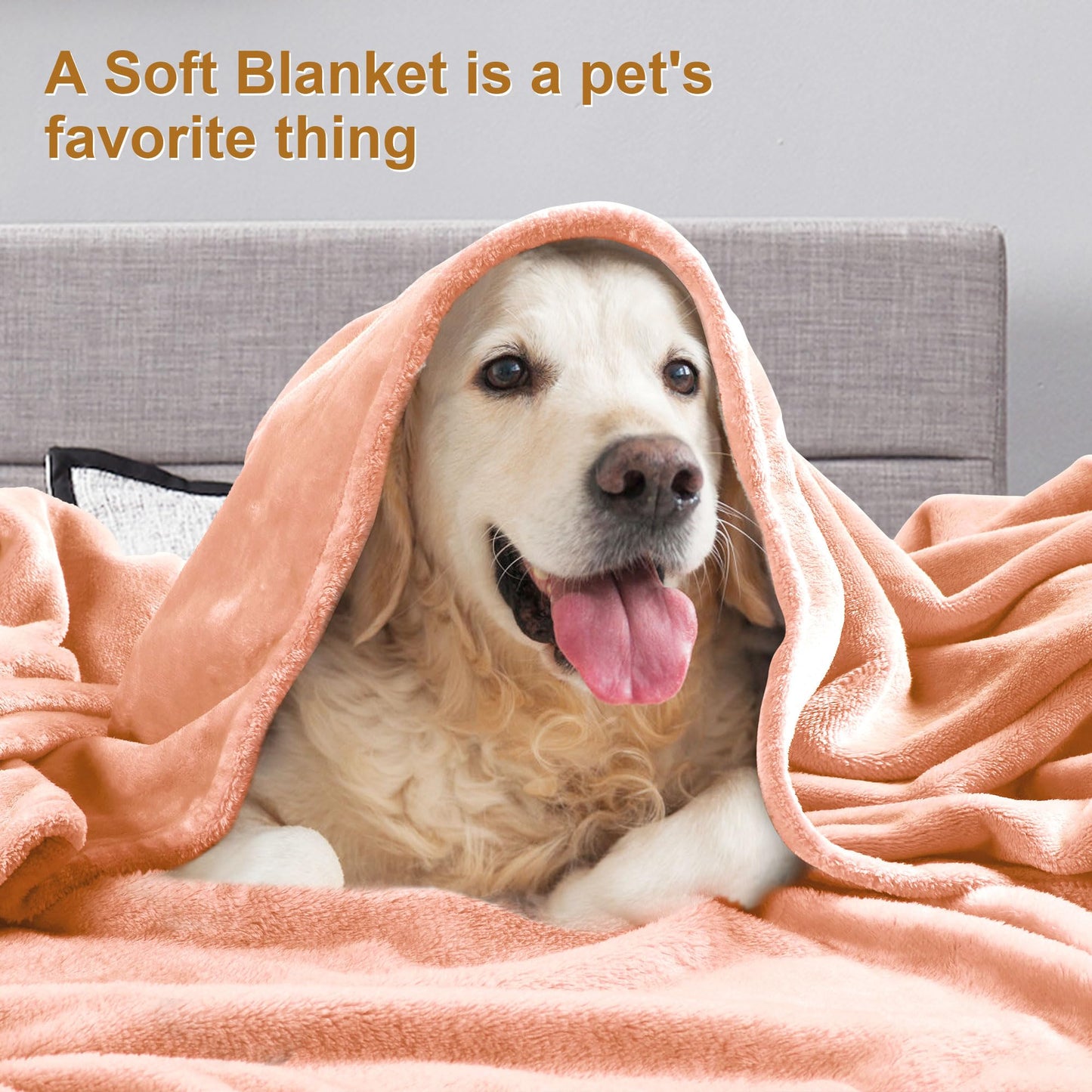 DREAMNINE Super Soft Fuzzy Fleece Throw Blanket for Couch Sofa 50" x 60", Decorative Solid Lightweight Velvet Blanket for Chair, Cozy Accent Shaggy Micro Plush Flannel Blankets for Bedroom Dorm, Peach