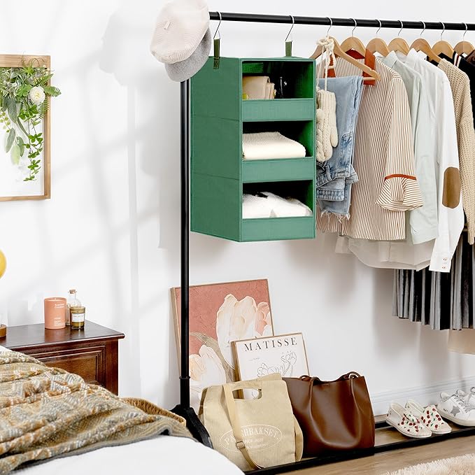 GRANNY SAYS 3-Shelf Closet Organizers and Storage, Foldable Hanging Closet