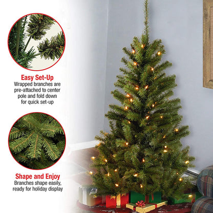 National Tree Company 4 ft Pre-Lit Grande Canadian Fir Mini Artificial Christmas Tree, 100 Clear Lights, 230 Tips, Includes Stand, Green
