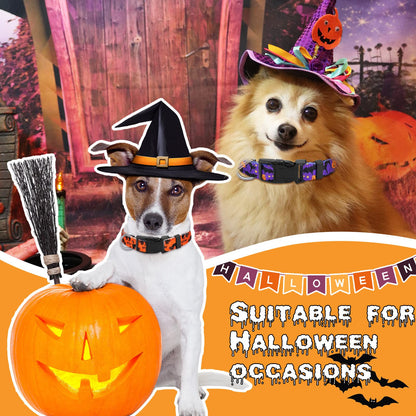6 Pcs Halloween Dog Collars for Pumpkin Basic Adjustable Lightweight Holiday Comfortable Dog Collars with Plastic Buckle for Puppy Small Medium Large Pets(Medium)