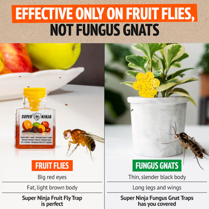 Super Ninja Fruit Fly Trap - 4 pack, Highly Effective Fruit Fly Killer for Home & Kitchen, Up to 3 Weeks of Performance per Bottle, Child & Pet Friendly
