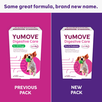 YuMOVE Digestive Care, Dog Pre and Probiotics Supplement for Gut Health and Digestive Support, All Ages and Breeds with Sensitive Digestion, 120 Tablets