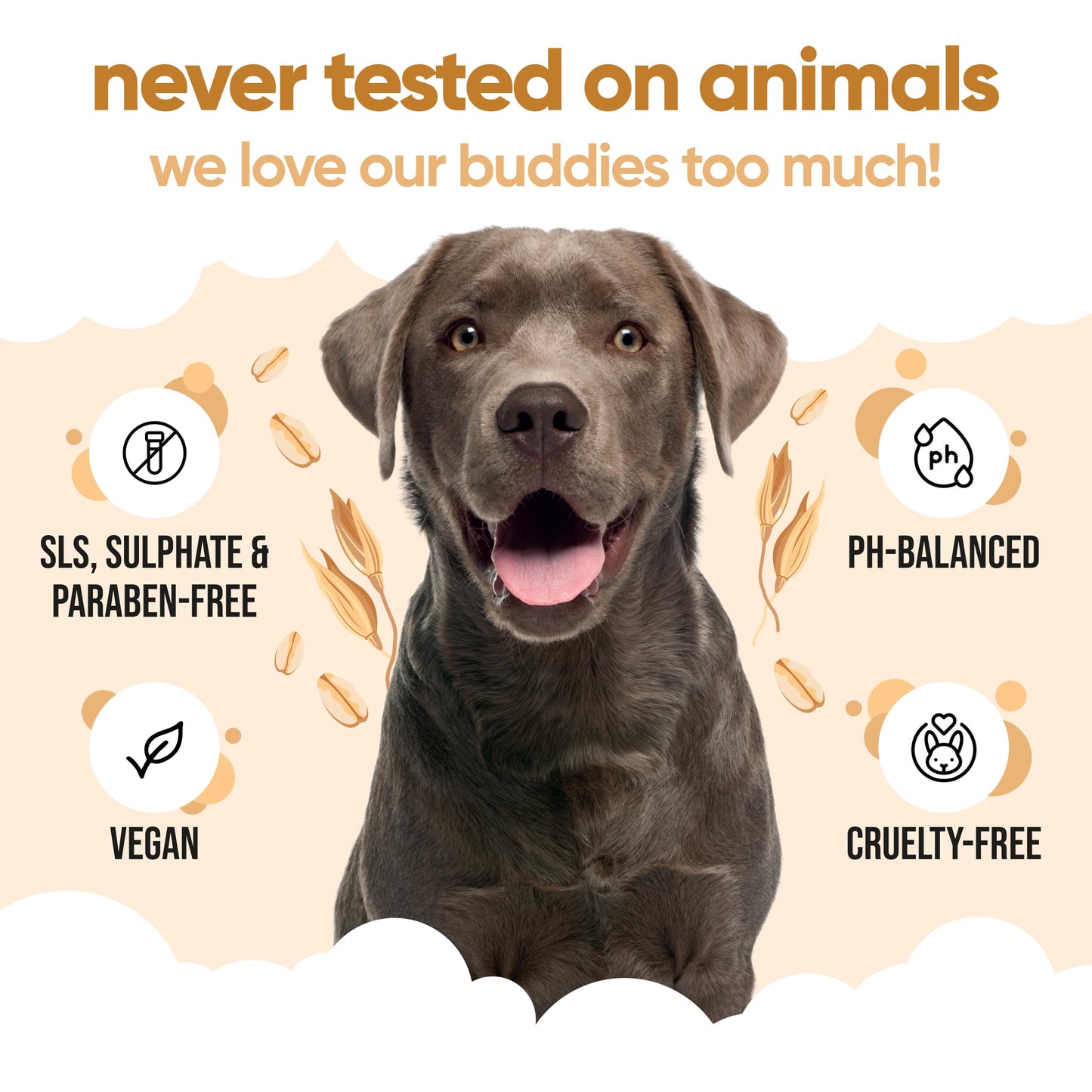 Buddycare Oatmeal Dog Shampoo (500ml) Gentle for Sensitive or Itchy Skin Removes Dandruff & Smelly Puppy Odours, w/Aloe Vera to Help Itch Relief Dog Shampoo for Smelly Dogs Best Puppy Shampoo