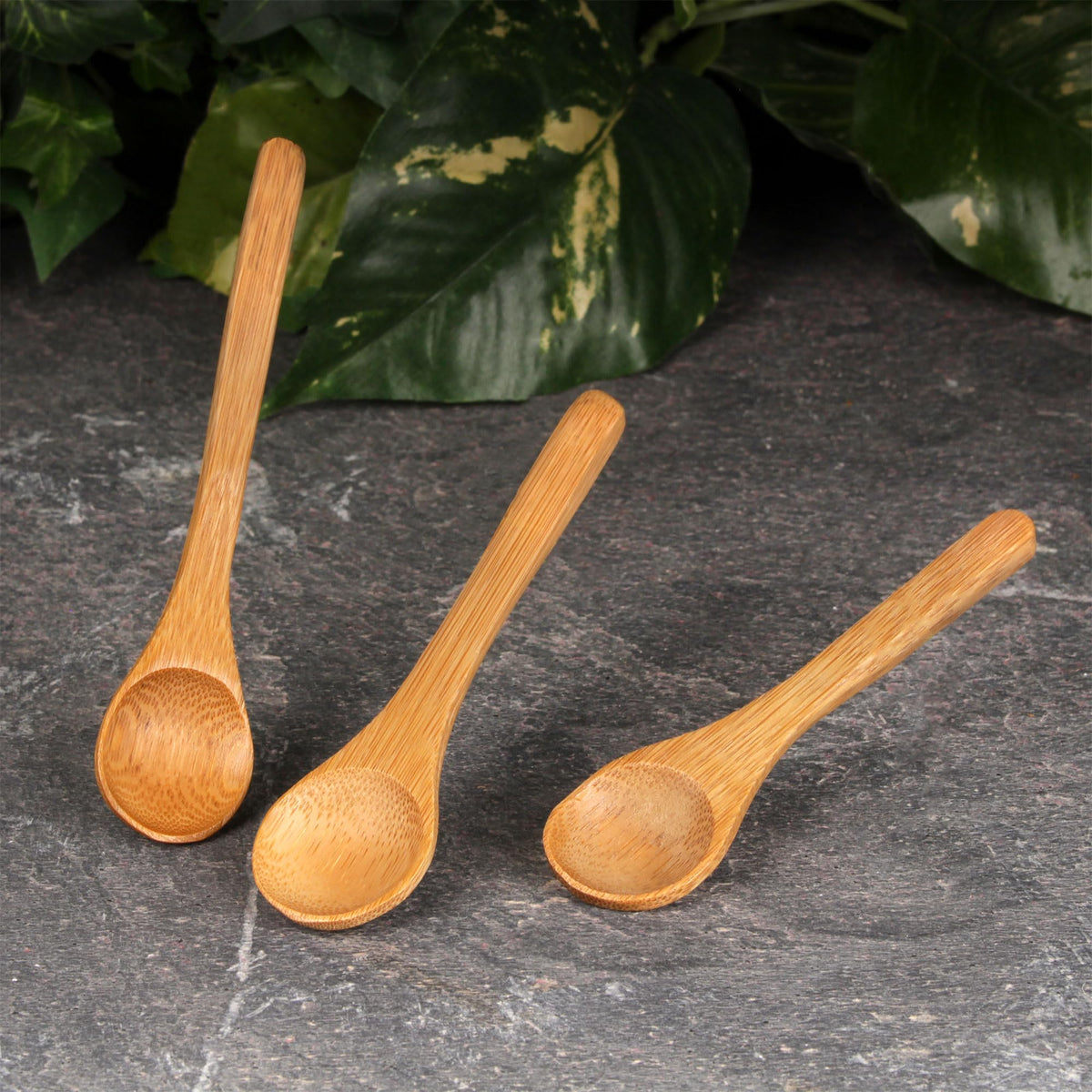BambooMN Bamboo Serving Spoons, Mini Salt Sugar Spoon, Tiny Wooden Spoons for Spices, Carbonized Brown Round Head 3.5", 10 Pieces