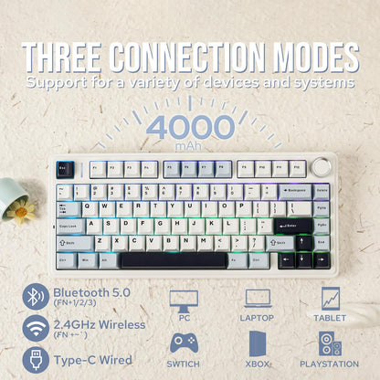 EPOMAKER AULA F75 Wireless Mechanical Gaming Keyboard, 75% Layout with Knob, Creamy Gasekt-Mount with Sound-Dampening, RGB, Hot-Swap, Bluetooth/2.4Ghz (Light Blue, Reaper Switch)