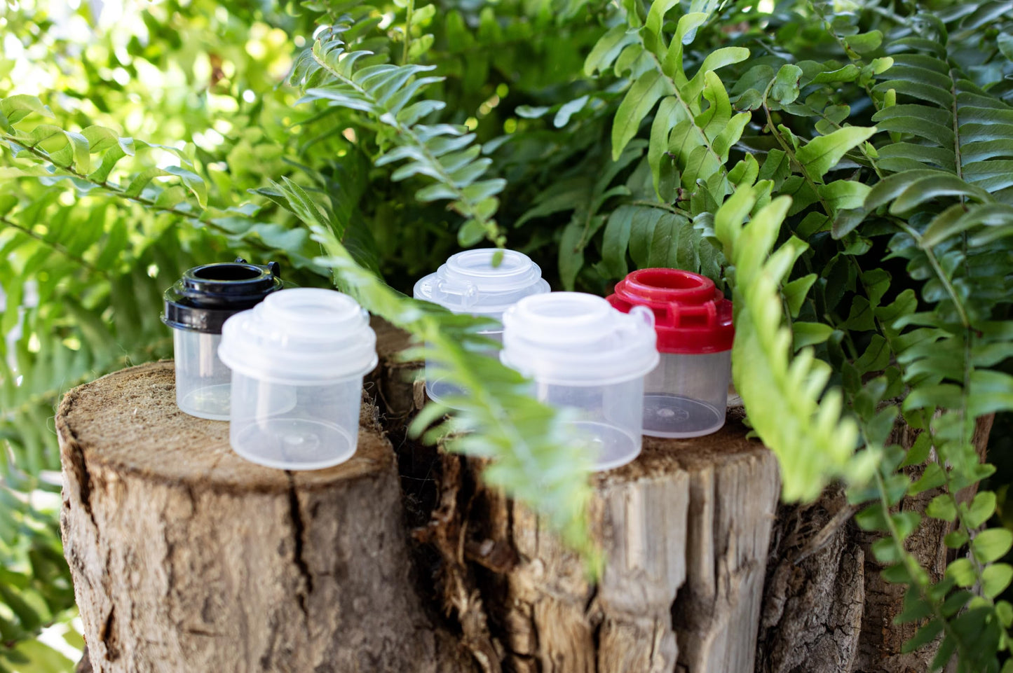 BRAZZA Salt and Pepper Shakers Moisture Proof Set Perfect to go Camping Picnic Outdoors Kitchen Lunch Boxes Travel Spice Set Clear with Black Lids Plastic Airtight Spice Jar Dispenser (5 mini)