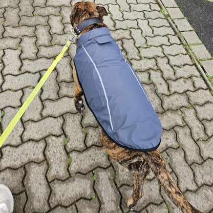 Mile High Life | Dog Raincoat | Adjustable Water Proof Pet Clothes | Lightweight Rain Jacket with Reflective Strip | Easy Step in Closure (M,Gray)