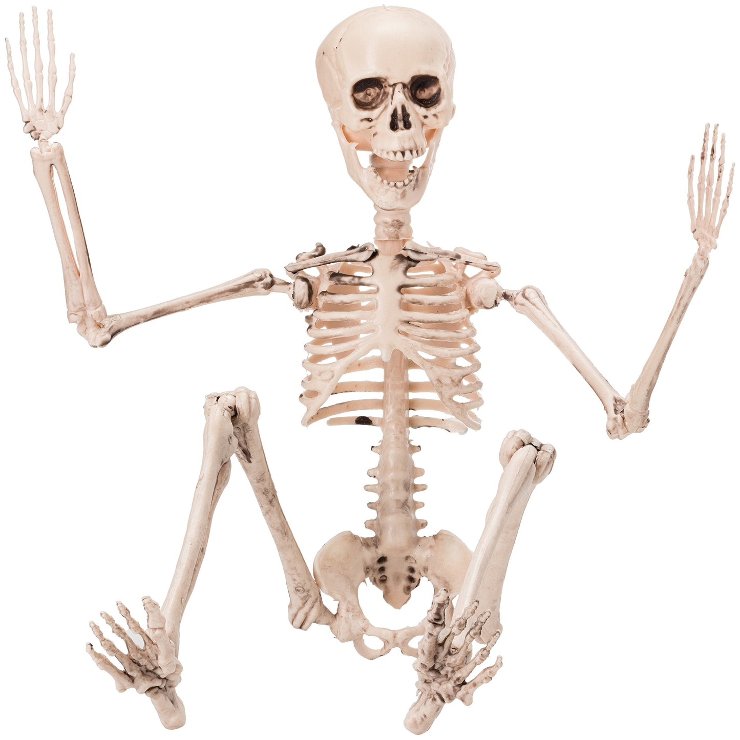 PREXTEX Skeleton Halloween & Day of The Dead Decoration for Home and Office - 19 Inch Posable Plastic Small Skeleton Toy Halloween Décor with Movable/Bendable Joints and 2 Sets of Body Accessories