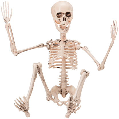 PREXTEX Skeleton Halloween & Day of The Dead Decoration for Home and Office - 19 Inch Posable Plastic Small Skeleton Toy Halloween Décor with Movable/Bendable Joints and 2 Sets of Body Accessories