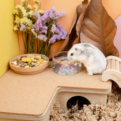 Niteangel Hamster Feeding & Water Bowls- Mount Fuji Series Glass Drinking Bowls for Dwarf Syrian Hamsters Gerbils Mice Rats or Other Similar-Sized Small Pets (Transparent)