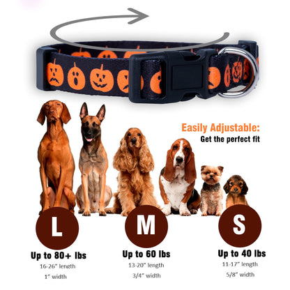 Native Pup Halloween Dog Collar- Spooky Fall Themed Horror Costume Collars- Skull, Pumpkin, Ghost, Bat, Witch, Candy Corn, Spider- Adjustable for Small, Medium, Large Breeds (Small, Big Pumpkins)