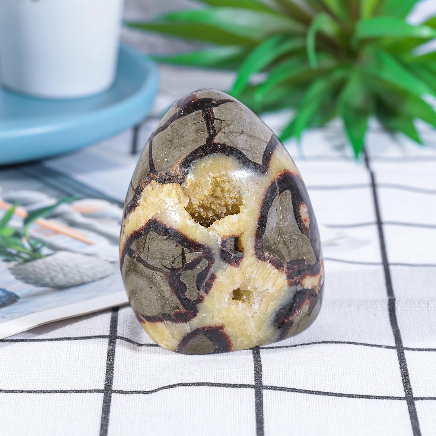 Sportmusies Natural Septarian Dragon Stone Geode Mineral Specimen Decoration for Reiki Home Office Desk, 2.36-3.93 Inches