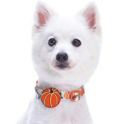 Blueberry Pet 8 Patterns Thanksgiving Fall Harvest Festival Pumpkin Designer Adjustable Dog Collar with Decoration, Large, Neck 18"-26"