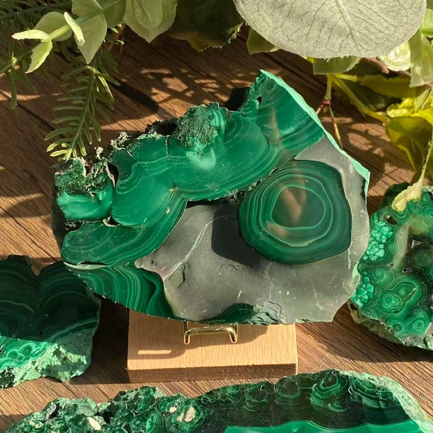 CrystalHola Natural Malachite Slab 1.1-1.32lb (500-600g), Premium Polished Malachite Slice Healing Crystal Stone, Green Mineral Specimen for Home Decor, Reiki, Meditation, Crystal Collection