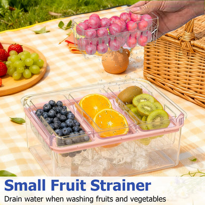 Sorgion Ice Chilled Condiment Caddy with Portable Handle, 5 Compartment Serving Tray with Built-in Bread Slicer and Ice Chamber, Clear Garnish Tray for Bar, Taco Party, BBQ, Picnic & Fruit Pink