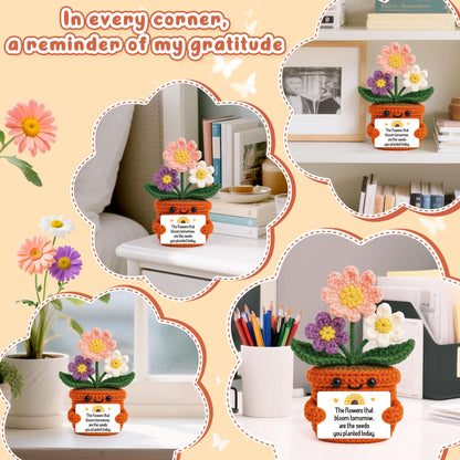 BackURyear Cute Women Teacher Appreciation Gifts, Thank You Christmas Graduation End of Year Gift for Best Female Mentor Mom, Crochet Daisy Present Woman Teachers Office Desk Decor