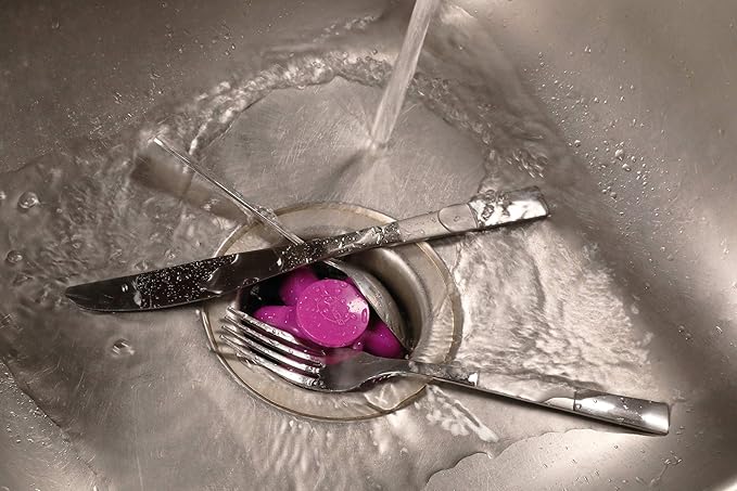 Danco 10838A Disposal Genie II Garbage Disposal Strainer and Stopper, Kitchen
