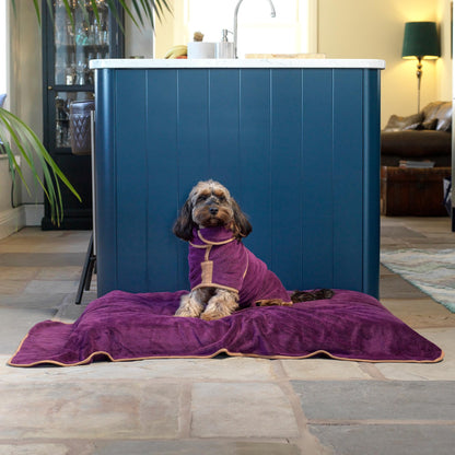 Lucky Paws® UK Dog Drying Coat - Luxurious Double Layer Dog Towel Robe - Dry Your Dogs in Minutes - Ultra Absorbent Drying Robe & Super Soft Dressing Gown (M, Plum)