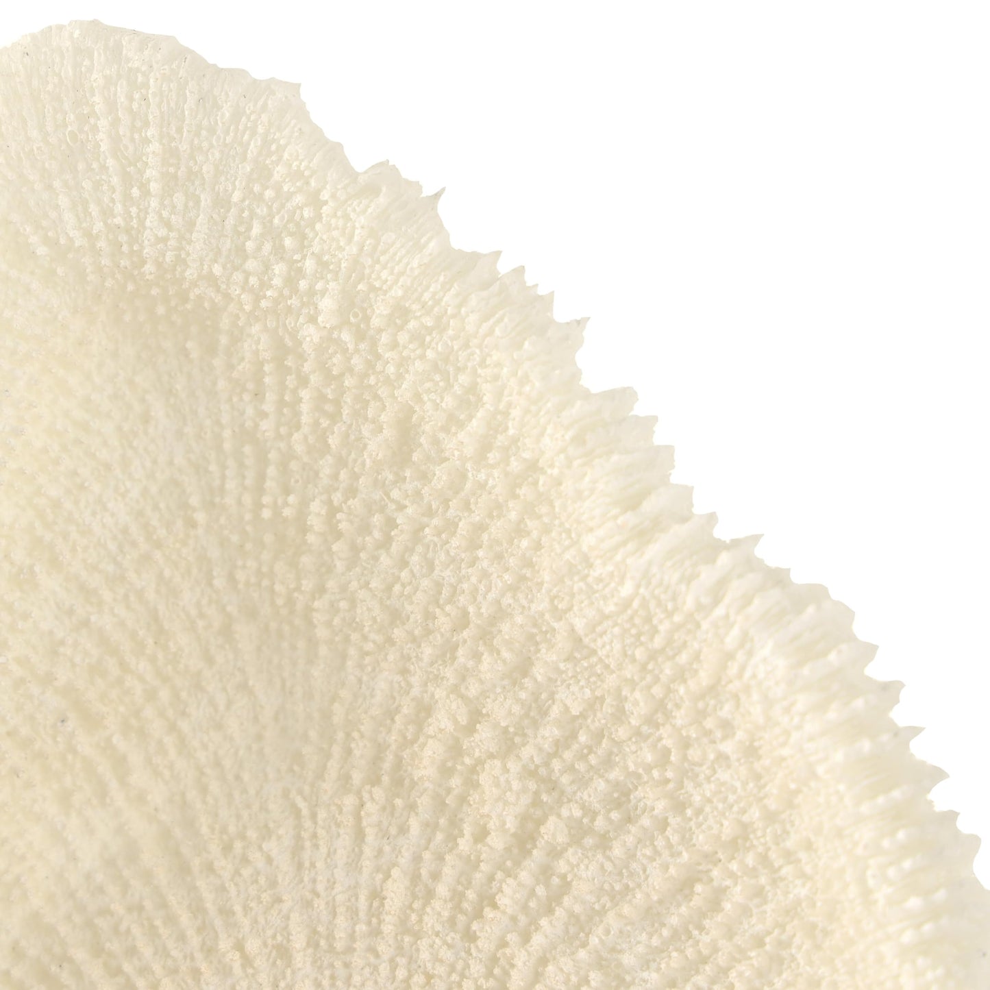 Deco 79 Polystone Coral Decorative Sculpture Abstract Textured Home Decor Statue with Gray Stand and Acrylic Base, Accent Figurine 7" x 5" x 19", Cream