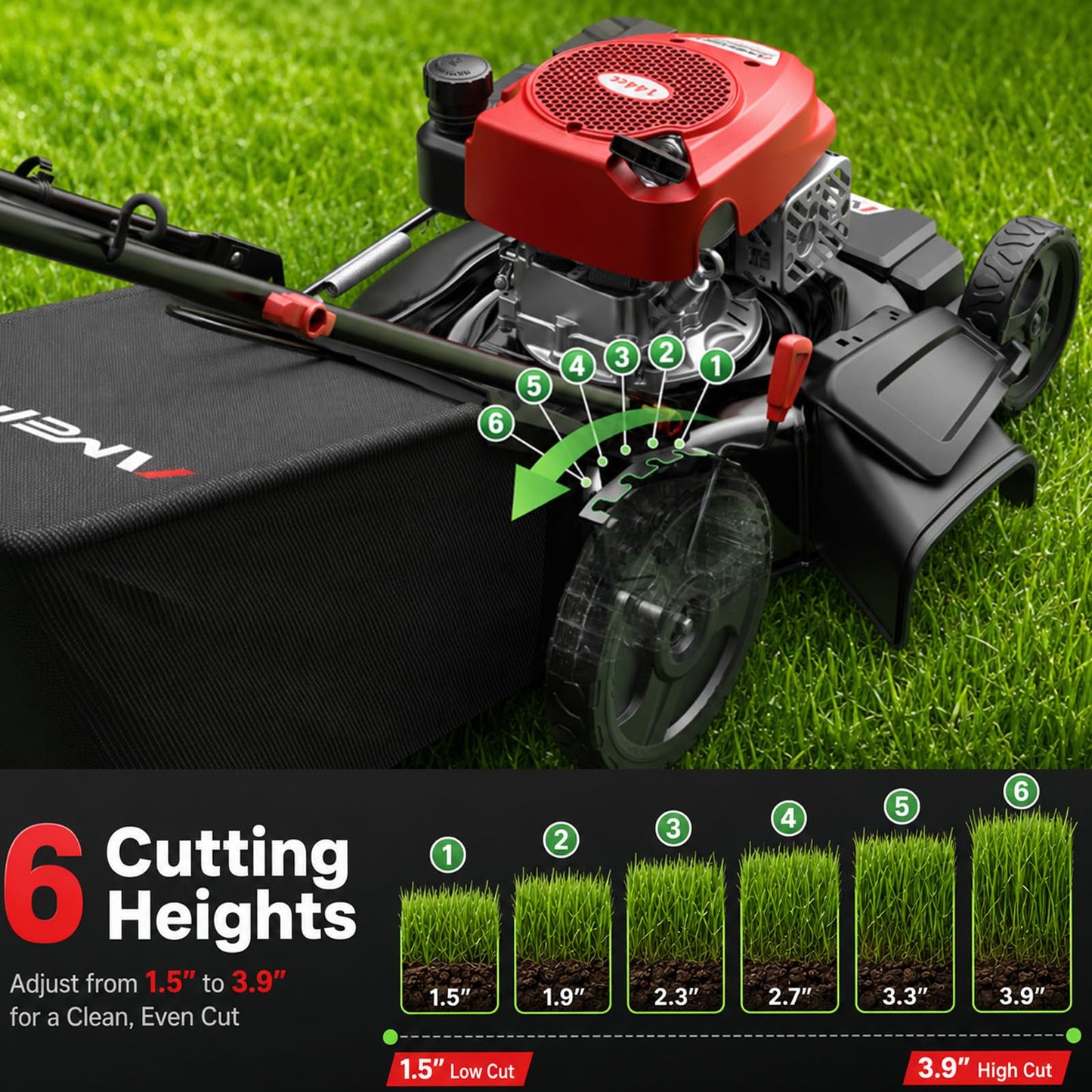 AMERISUN Gas Lawn Mower 21 in, 144cc 4-Stroke Walk-Behind Push Mower, 3-in-1 Mulch Bag Side Discharge System, 6 Adjustable Cutting Heights, Heavy Steel Deck for Yard & Garden Care