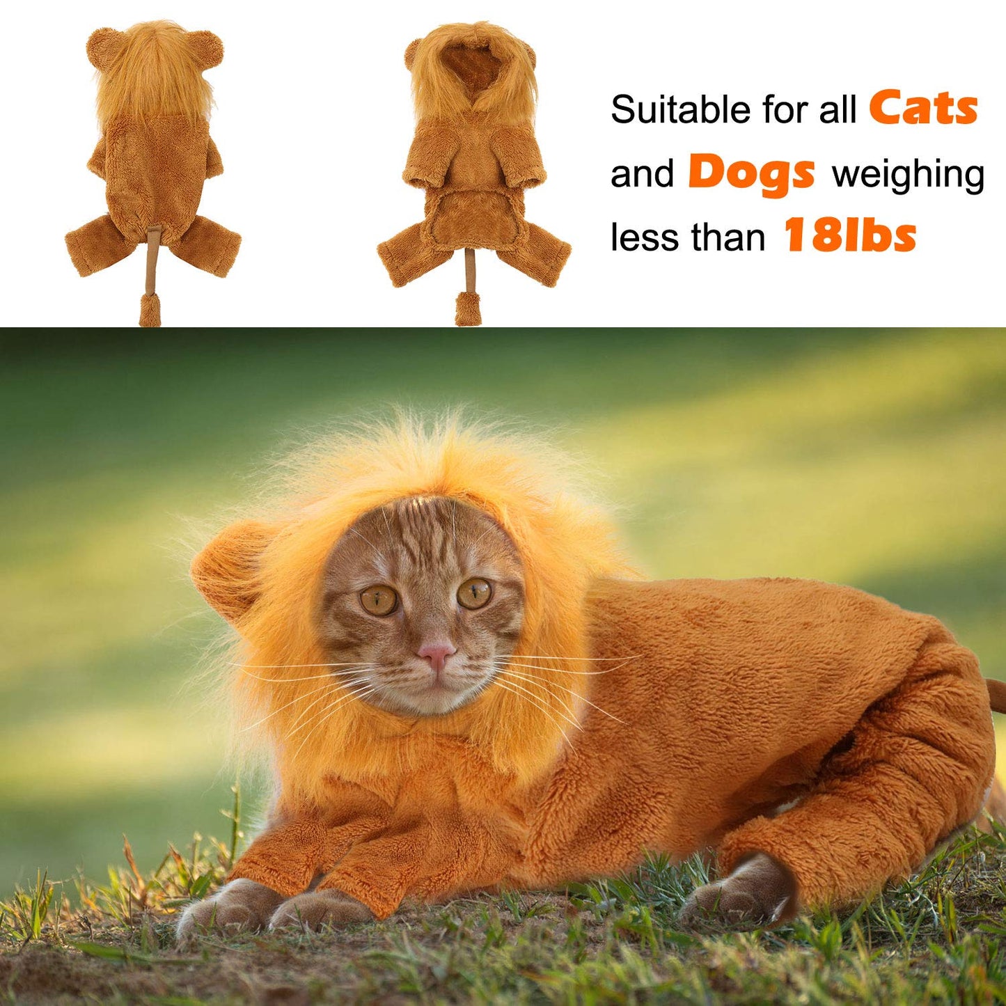 Rypet Dog Lion Costume Pet Clothes for Halloween Party Simulation Lion Pets Outfits Cosplay Dress up Clothes Pet Lions Hoodie Cat Costume for Party