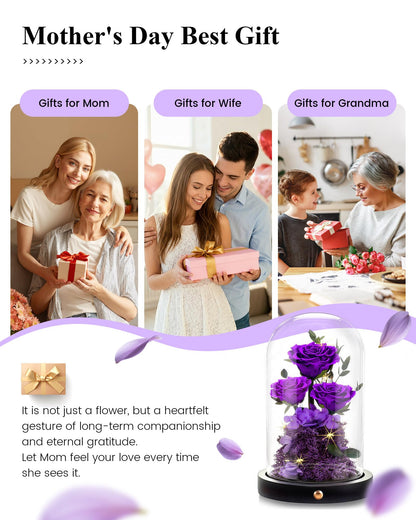 Agrul Mothers Day Flowers Roses Gifts for Mom,Forever Preserved Flower Rose in Glass Dome Fresh Flowers for Delivery Mothers Day Roses Gifts for Wife Women Mom Grandma from Daughter/Purple Rose
