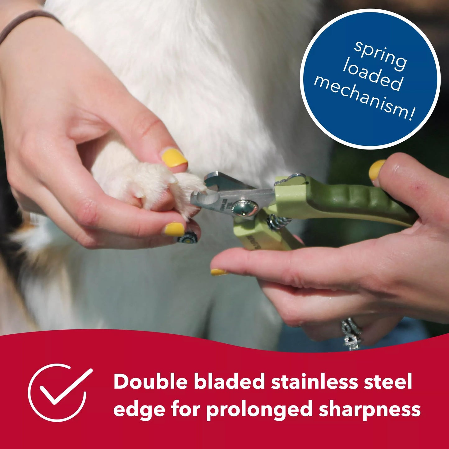 Coastal Pet Safari Dog De-Matting Comb & Professional Dog Nail Trimmer - Comb & Brush for Dogs with Medium to Long Hair & Dog Nail Clippers for Grooming - Bundle