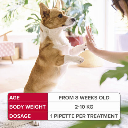 Beaphar FIPROtec Spot-On for Small Dogs